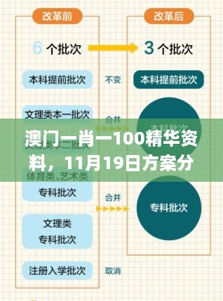 澳門一肖一100精華資料，11月19日方案分析與解讀_PDE3.33.55精選版