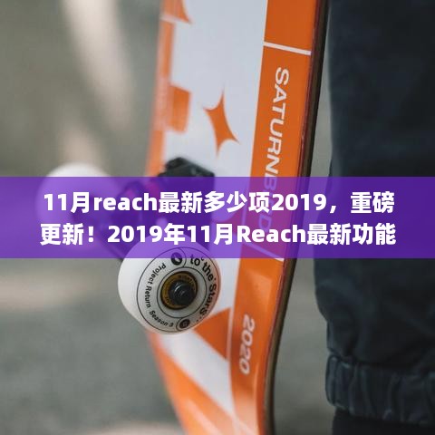 重磅更新！2019年11月Reach最新功能匯總及更新數(shù)量揭曉