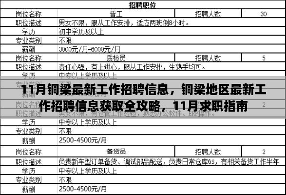 銅梁地區(qū)最新招聘全攻略，求職指南與招聘信息獲取指南（11月版）