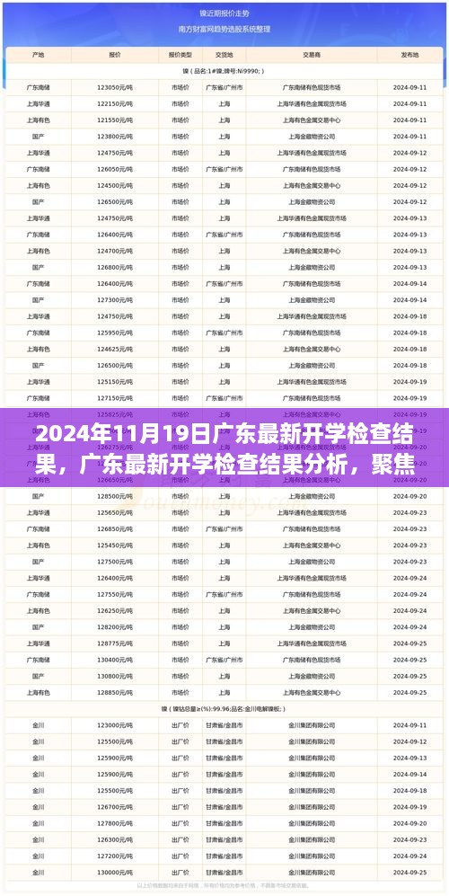 廣東最新開學(xué)檢查結(jié)果分析與觀察思考，聚焦2024年11月19日報告