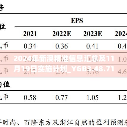 2024年新澳精準信息匯總及11月19日實施計劃_YGB3.48.71時尚版