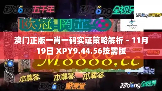 澳門正版一肖一碼實證策略解析 - 11月19日 XPY9.44.56按需版