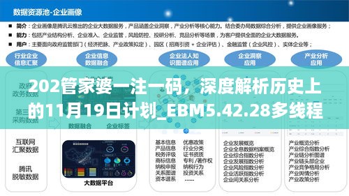 202管家婆一注一碼，深度解析歷史上的11月19日計(jì)劃_EBM5.42.28多線程版本