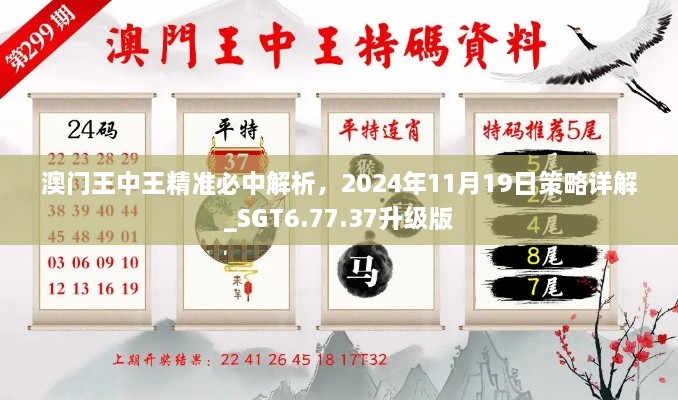 澳門王中王精準(zhǔn)必中解析，2024年11月19日策略詳解_SGT6.77.37升級版