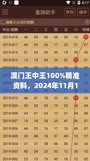 澳門(mén)王中王100%精準(zhǔn)資料，2024年11月19日可視化管理方案_RNM1.66.77私密版