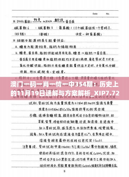 澳門一碼一肖一恃一中354期：歷史上的11月19日速解與方案解析_XIP7.72.55內(nèi)容創(chuàng)作版