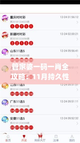 管家婆一碼一肖全攻略：11月持久性策略設(shè)計(jì)_YCK8.55.77時(shí)空版