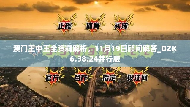 澳門王中王全資料解析，11月19日顧問解答_DZK6.38.24并行版