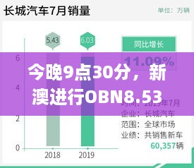 今晚9點30分，新澳進(jìn)行OBN8.53.81數(shù)字版實地應(yīng)用數(shù)據(jù)驗證