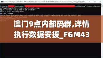 澳門9點內部碼群,詳情執(zhí)行數據安援_FGM43.408影音版