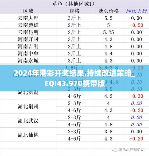 2024年港彩開獎結(jié)果,持續(xù)改進策略_EQI43.970攜帶版