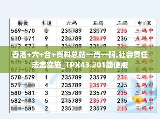 香港+六+合+資料總站一肖一碼,社會責任法案實施_TPX43.201簡便版