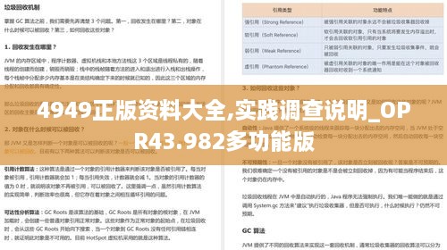 4949正版資料大全,實(shí)踐調(diào)查說明_OPR43.982多功能版