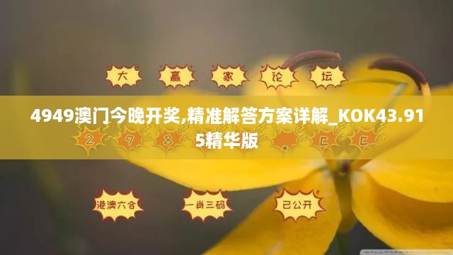 4949澳門今晚開獎,精準解答方案詳解_KOK43.915精華版