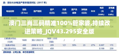 澳門三肖三碼精準100%管家婆,持續(xù)改進策略_JQV43.295安全版