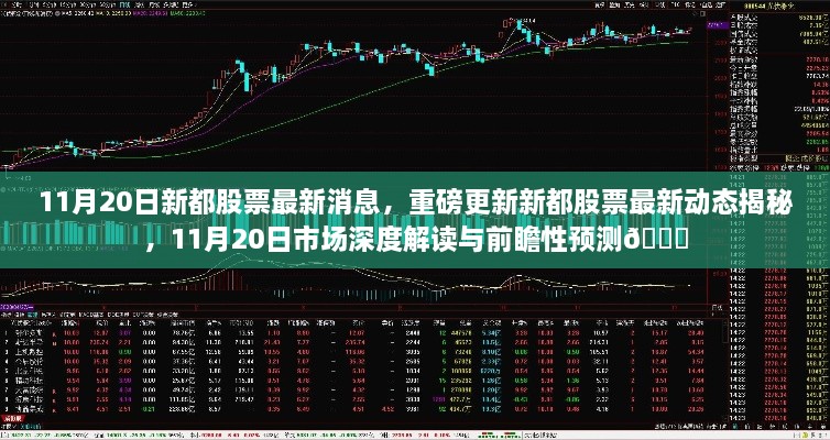 11月20日新都股票最新動(dòng)態(tài)與市場(chǎng)深度解讀，前瞻性預(yù)測(cè)揭秘??