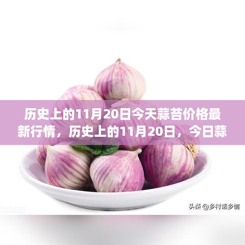 歷史上的11月20日，今日蒜苔價(jià)格與自然美景之旅，探尋內(nèi)心寧?kù)o與平和的旅程