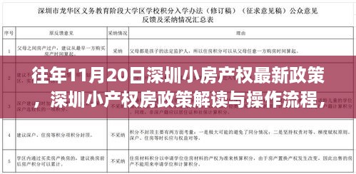 深圳小產權房政策解讀與操作流程指南，最新政策解讀及操作指南（往年11月20日）