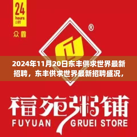 2024年11月20日東豐供求世界招聘盛況，行業(yè)變革與職業(yè)機遇的聚焦