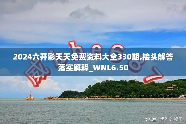 2024六開彩天天免費資料大全330期,接頭解答落實解釋_WNL6.50