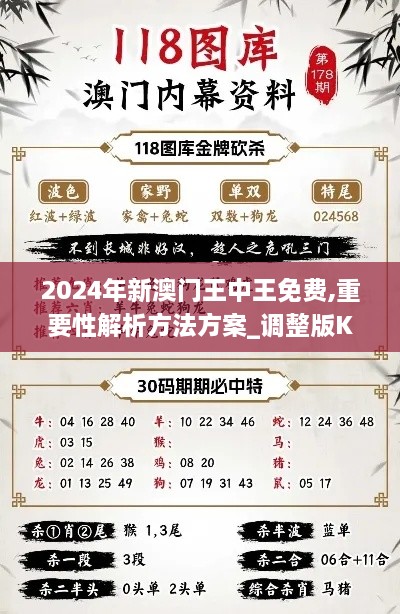 2024年新澳門王中王免費,重要性解析方法方案_調(diào)整版KJZ2.42