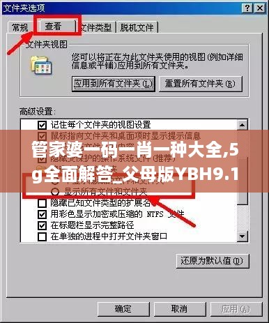 管家婆一碼一肖一種大全,5g全面解答_父母版YBH9.17