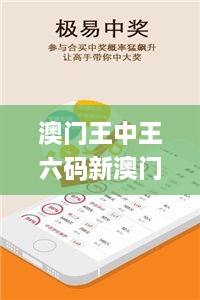 澳門王中王六碼新澳門,體系解答解釋落實_攜帶版DVU6.68