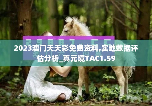 2023澳門天天彩免費資料,實地數據評估分析_真元境TAC1.59