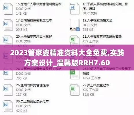 2023管家婆精準資料大全免費,實踐方案設計_溫馨版RRH7.60