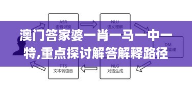 澳門答家婆一肖一馬一中一特,重點(diǎn)探討解答解釋路徑_可變版ABP4.24