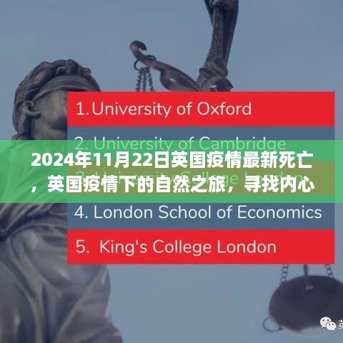 英國疫情下的心靈重生之旅，自然之旅與死亡數據的最新觀察（2024年11月22日）