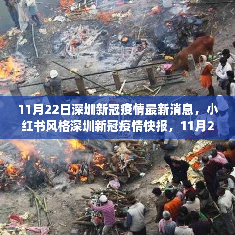 小紅書風(fēng)格深圳新冠疫情快報，最新消息（11月22日）