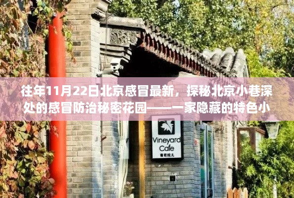 探秘北京小巷深處的特色小店，感冒防治秘密花園