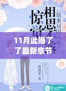 11月此婚了了最新章節(jié)，婚緣十一月，溫馨日常與愛的紐帶