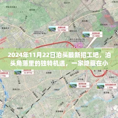 2024年11月22日泊頭最新招工吧，泊頭角落里的獨特機遇，一家隱藏在小巷中的特色小店招工記