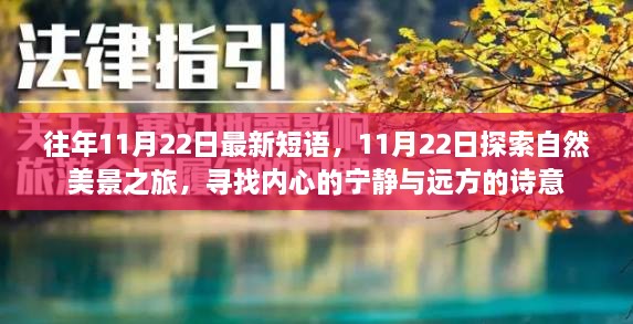 11月22日，自然美景之旅，探尋內(nèi)心的寧?kù)o與詩(shī)意遠(yuǎn)方