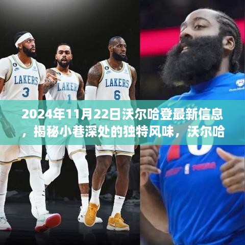 沃爾哈登小巷獨特風味揭秘，2024年11月22日獨家報道