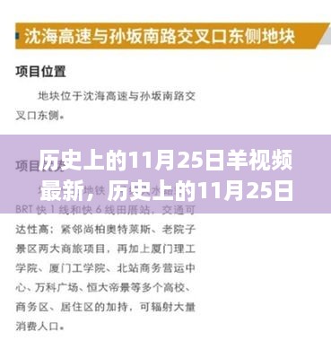 歷史上的11月25日，羊視頻現象背后的故事與影響揭秘