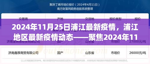 2024年11月25日浦江地區(qū)疫情動(dòng)態(tài)，防控進(jìn)展與科普解讀