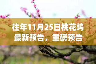 2024年11月 第159頁