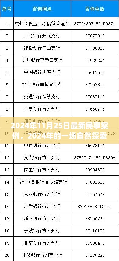 民事案例背后的心靈之旅，自然探索之旅的啟示（2024年最新案例）