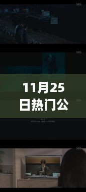 11月25日熱門公開視頻在線觀看，全面評測與介紹