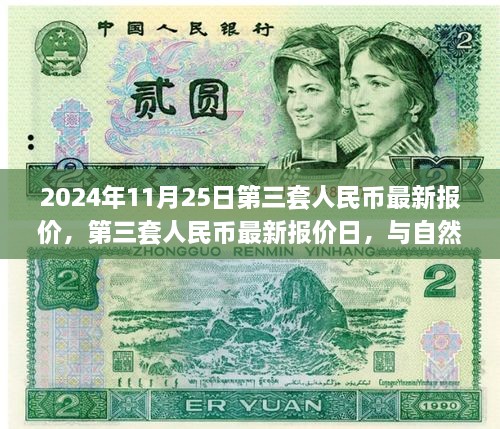 第三套人民幣最新報價與邂逅自然美景之旅，2024年11月25日行情概覽