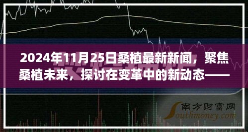 變革中的新動(dòng)態(tài)，聚焦桑植未來(lái)——2024年11月25日桑植最新新聞視角