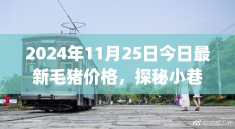 毛豬價(jià)格揭秘與小巷特色小店的幕后故事，2024年最新資訊，今日探秘之旅