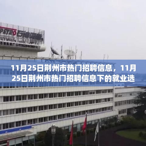 11月25日荊州市熱門招聘信息，11月25日荊州市熱門招聘信息下的就業(yè)選擇，機(jī)遇與挑戰(zhàn)并存