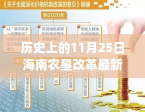 海南農(nóng)墾改革新篇章，歷史上的11月25日，變革中的自信與成就感