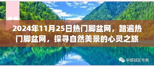 探尋自然美景的心靈之旅，熱門腳盆網之旅（2024年11月25日）