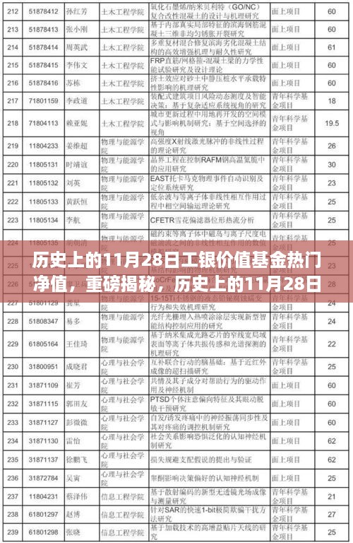 揭秘，歷史上的工銀價(jià)值基金凈值飆升背后的故事——聚焦11月28日熱門(mén)凈值日解密