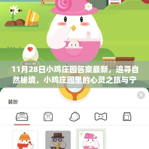 11月28日小雞莊園答案最新，追尋自然秘境，小雞莊園里的心靈之旅與寧靜的擁抱